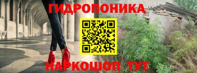 молекула духа Владимир