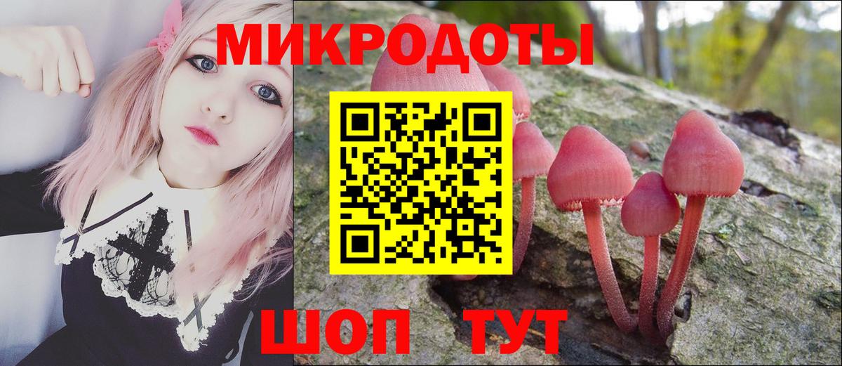 Кохма  Галлюциногенные грибы GOLDEN TEACHER  Вход с VPN 