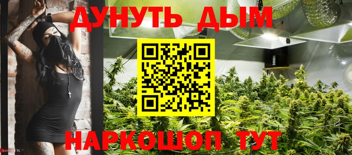 Конопля SATIVA & INDICA Кохма